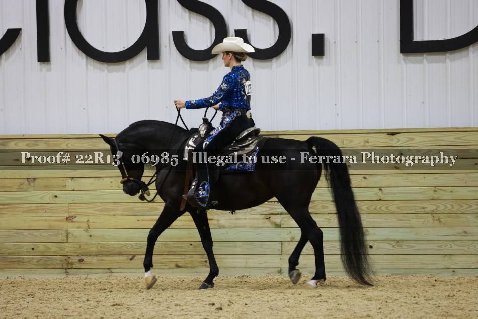 Proof 22R13_06985