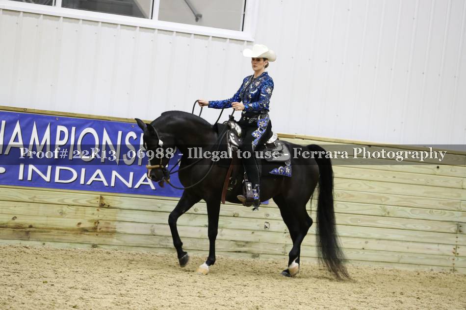 Proof 22R13_06988