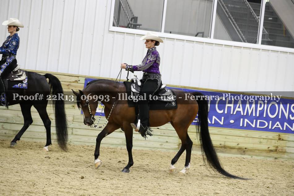 Proof 22R13_06993