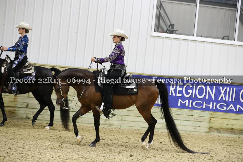 Proof 22R13_06994
