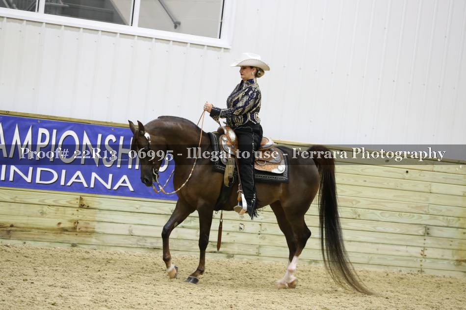 Proof 22R13_06995