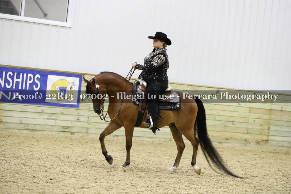 Proof 22R13_07002