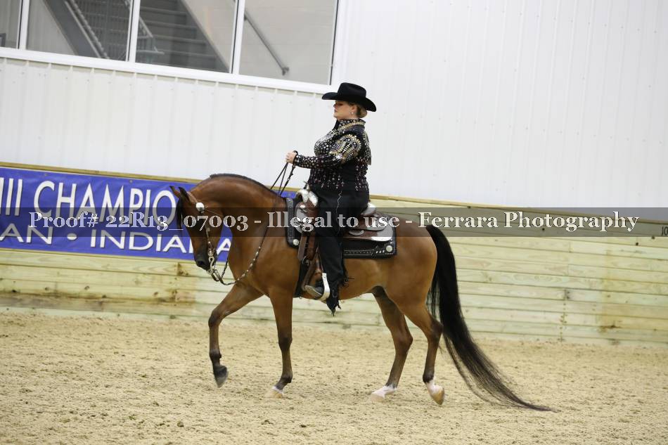 Proof 22R13_07003