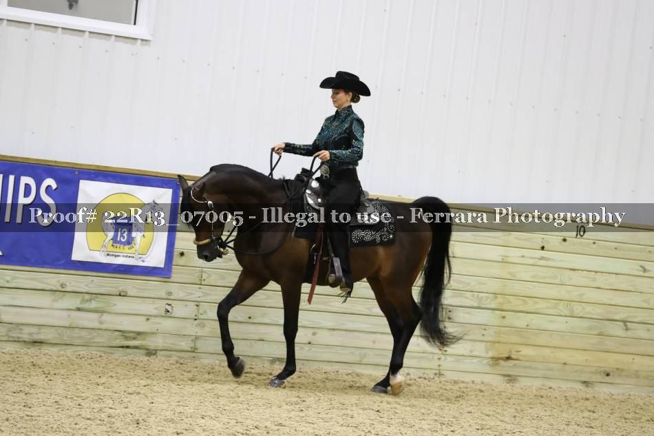 Proof 22R13_07005