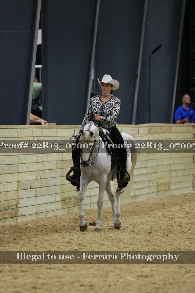 Proof 22R13_07007