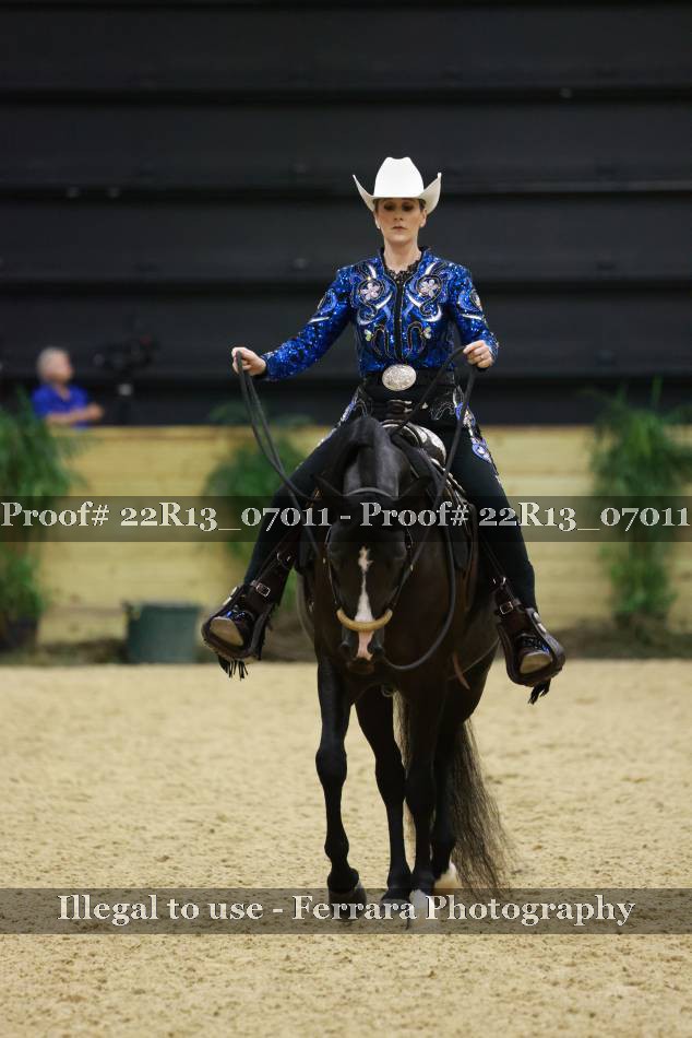 Proof 22R13_07011