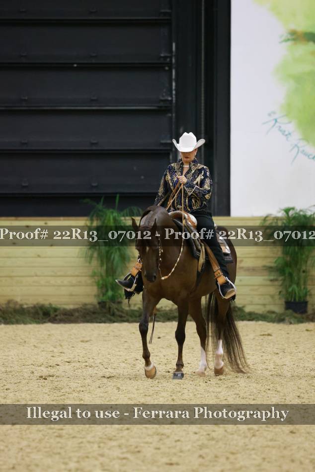 Proof 22R13_07012
