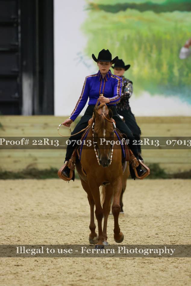 Proof 22R13_07013