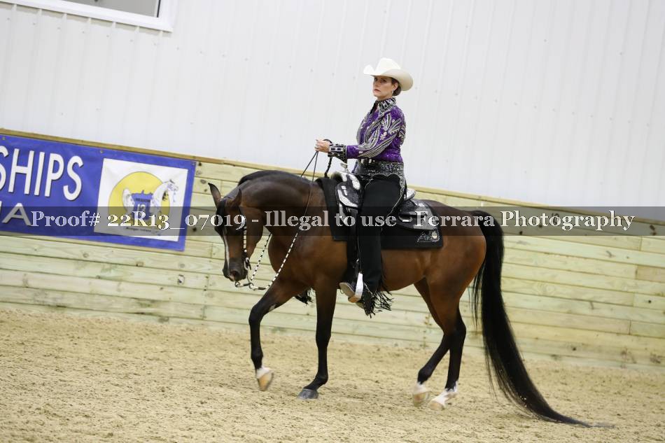 Proof 22R13_07019
