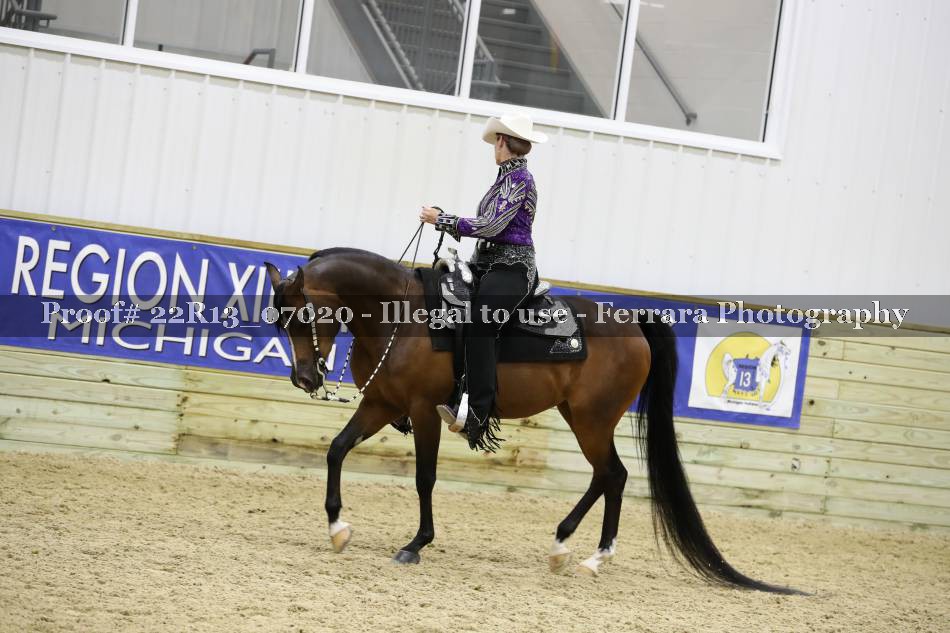 Proof 22R13_07020