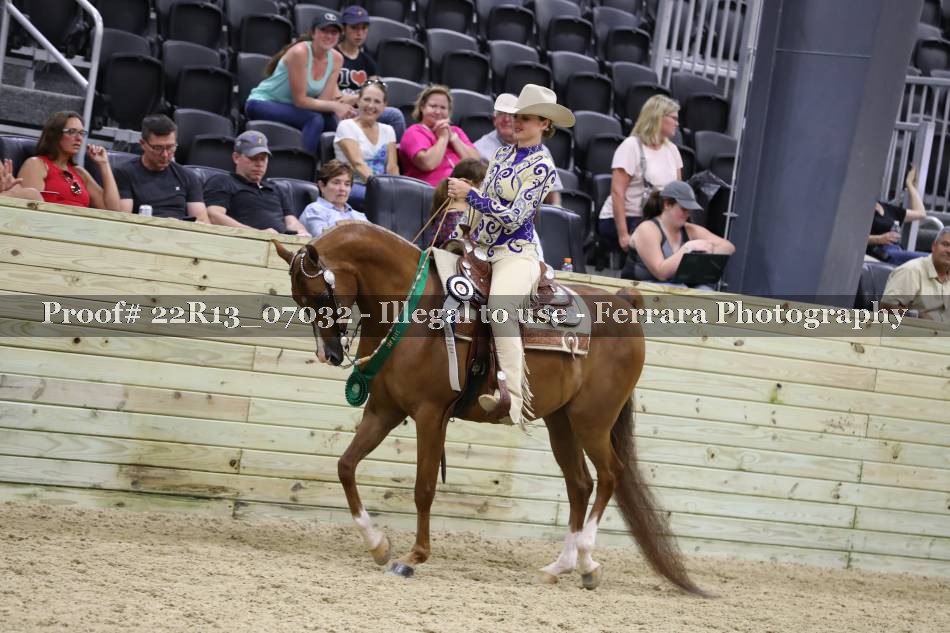 Proof 22R13_07032