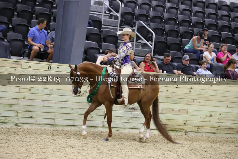 Proof 22R13_07033