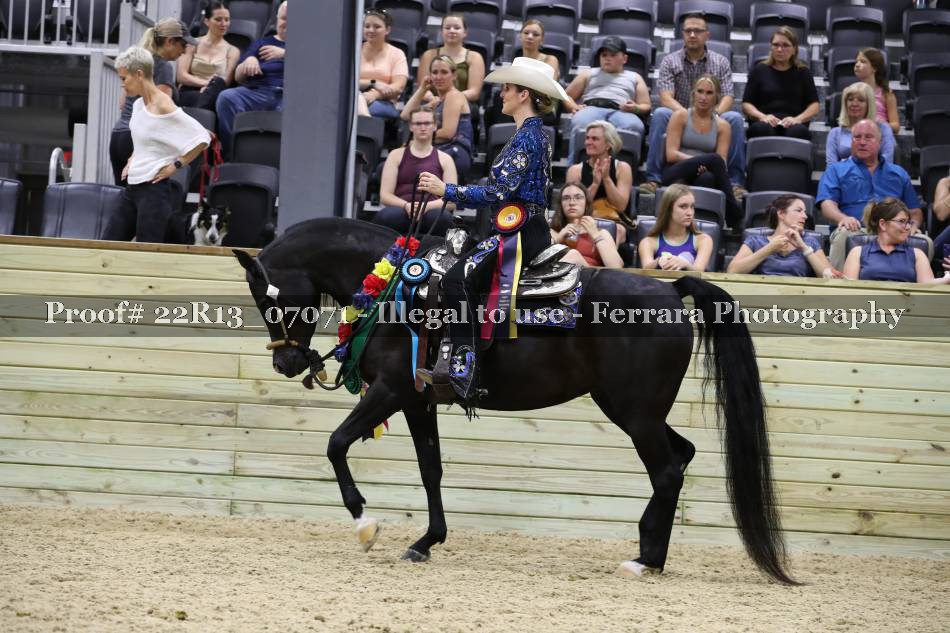 Proof 22R13_07071