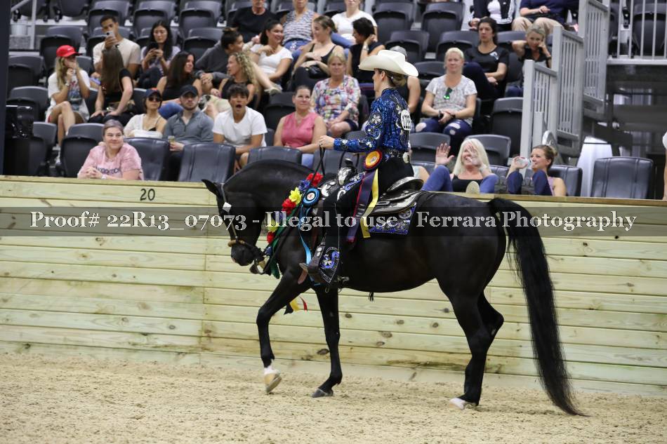 Proof 22R13_07073
