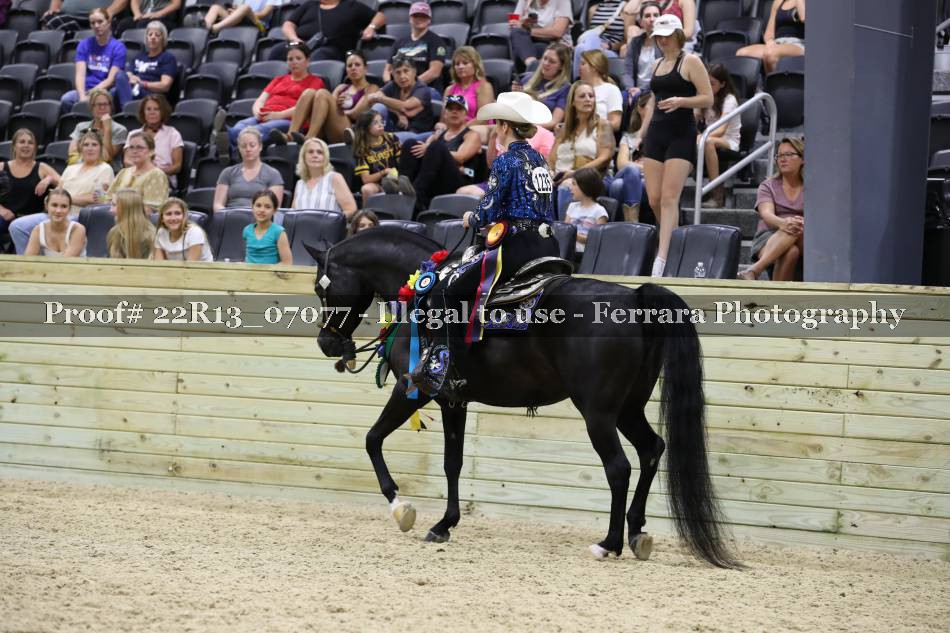 Proof 22R13_07077
