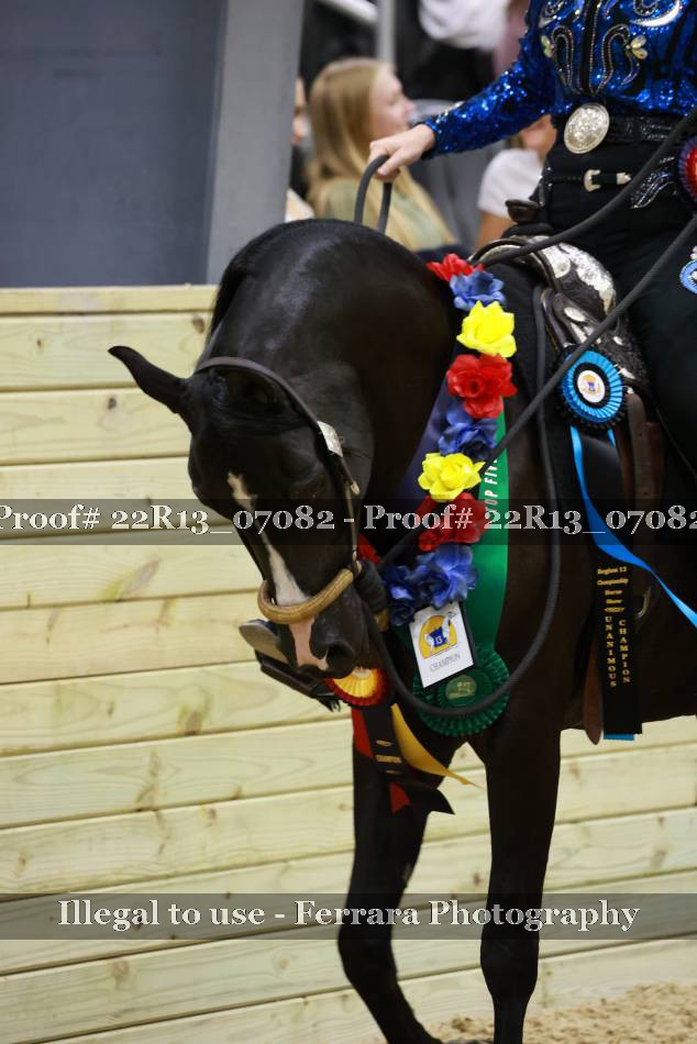 Proof 22R13_07082
