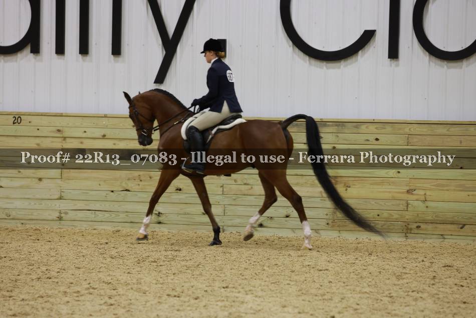 Proof 22R13_07083