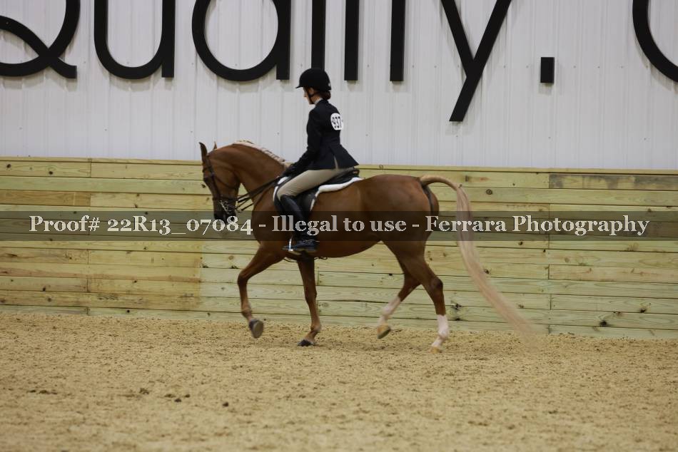 Proof 22R13_07084