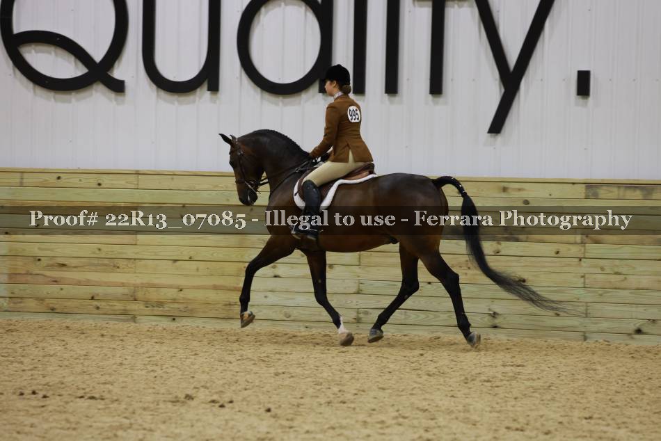 Proof 22R13_07085