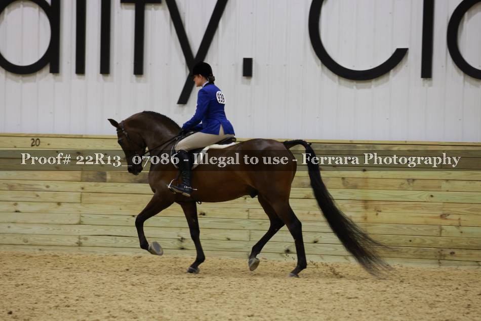 Proof 22R13_07086