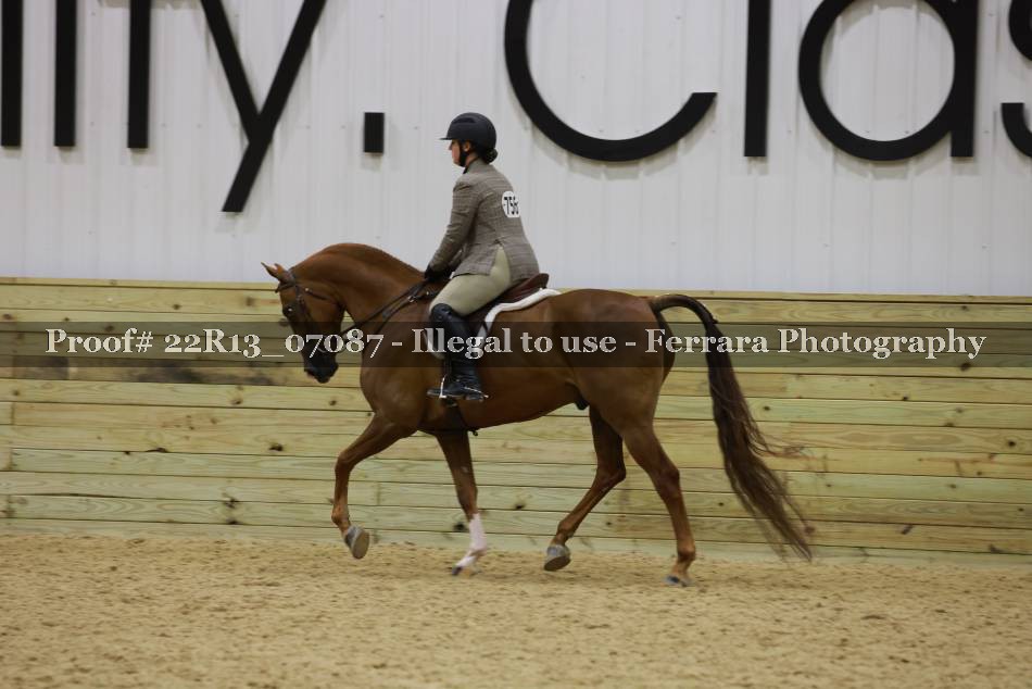 Proof 22R13_07087