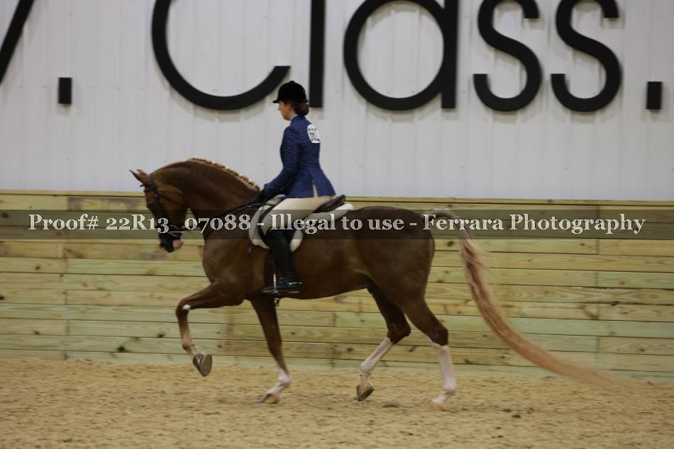 Proof 22R13_07088