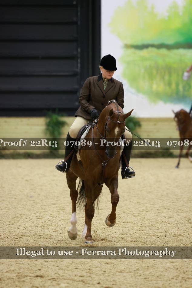 Proof 22R13_07089