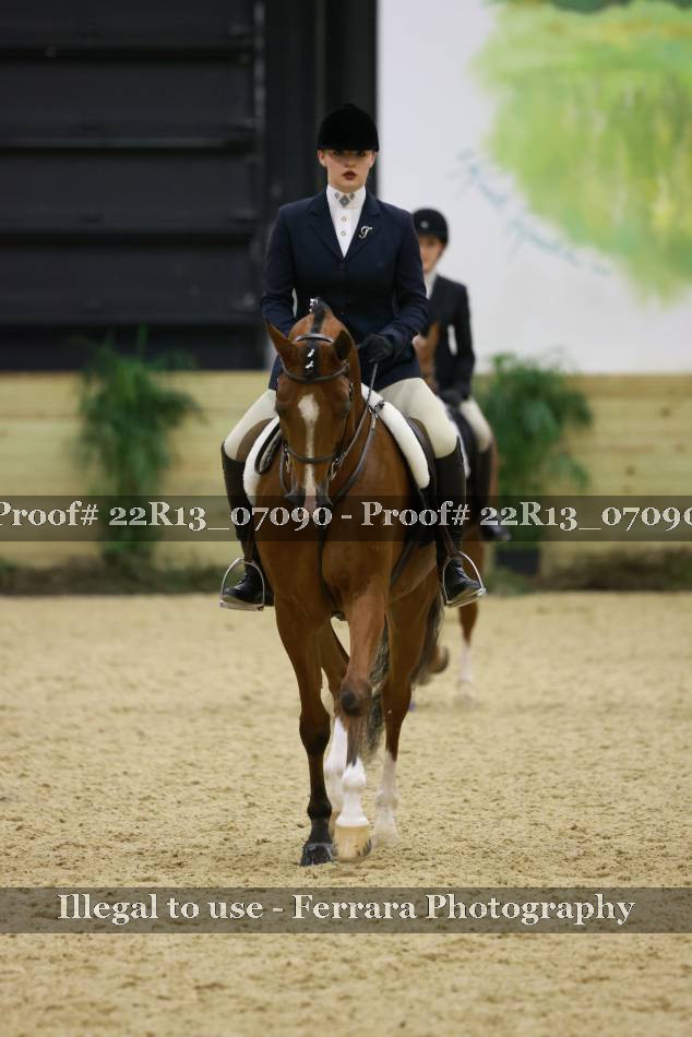 Proof 22R13_07090