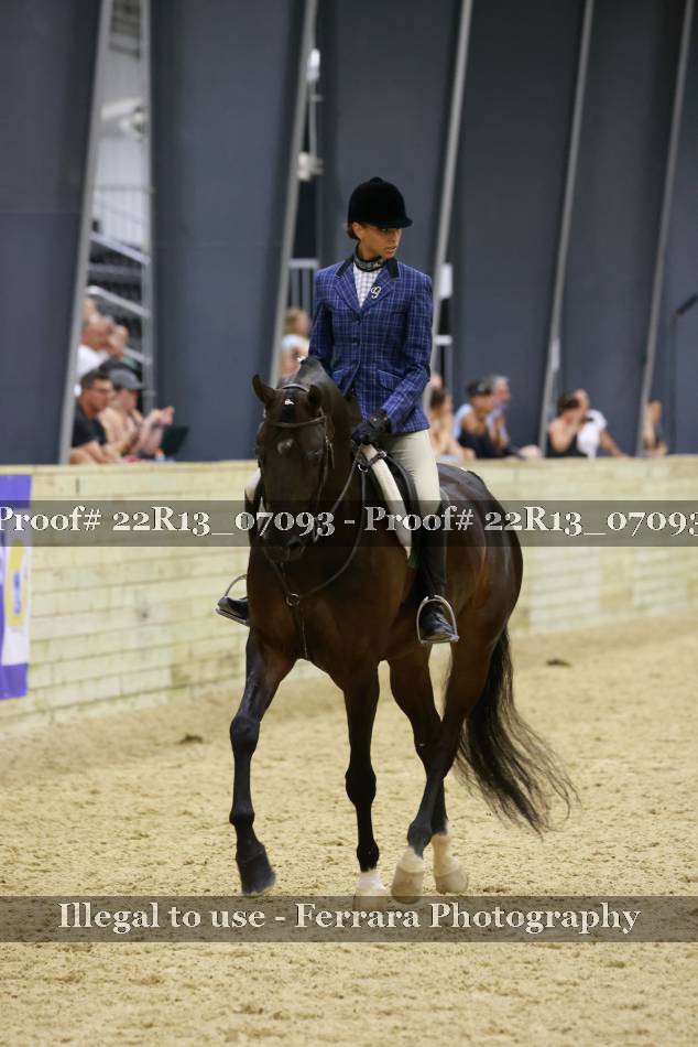Proof 22R13_07093