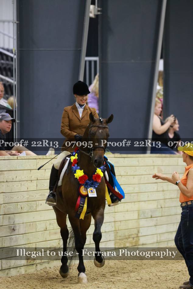 Proof 22R13_07095