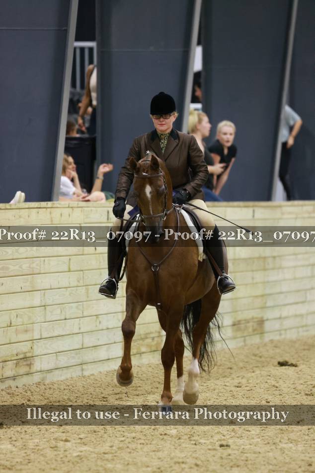 Proof 22R13_07097