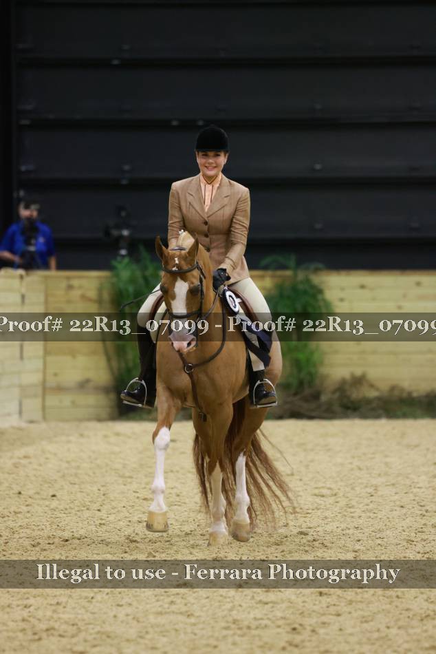 Proof 22R13_07099