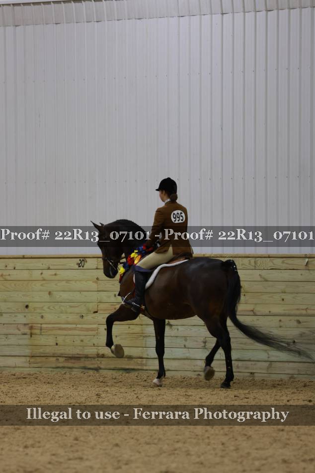 Proof 22R13_07101