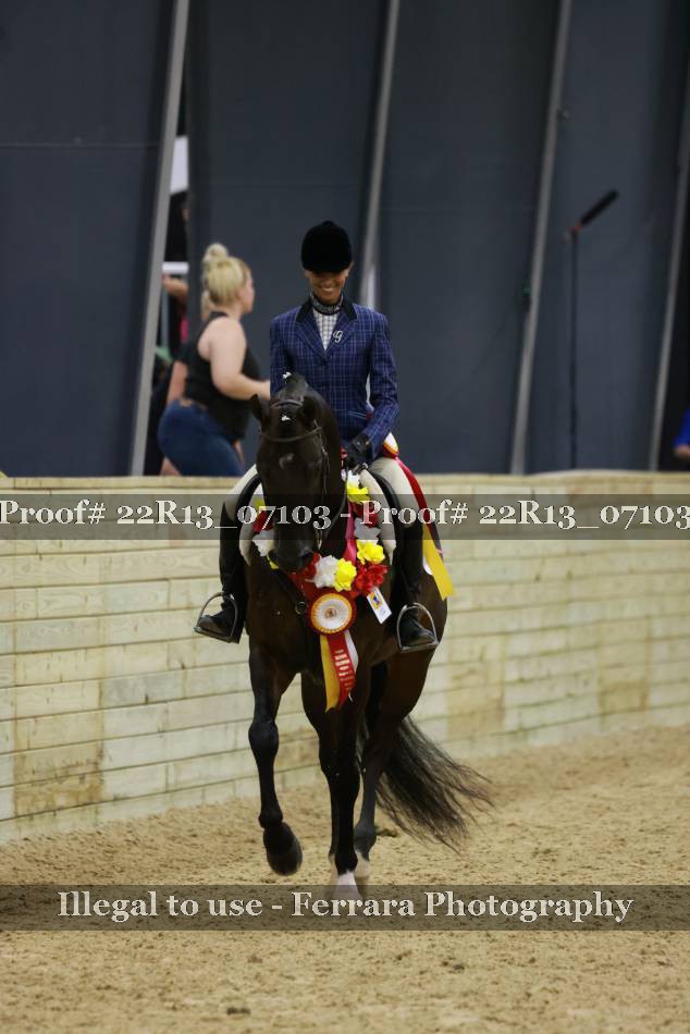 Proof 22R13_07103