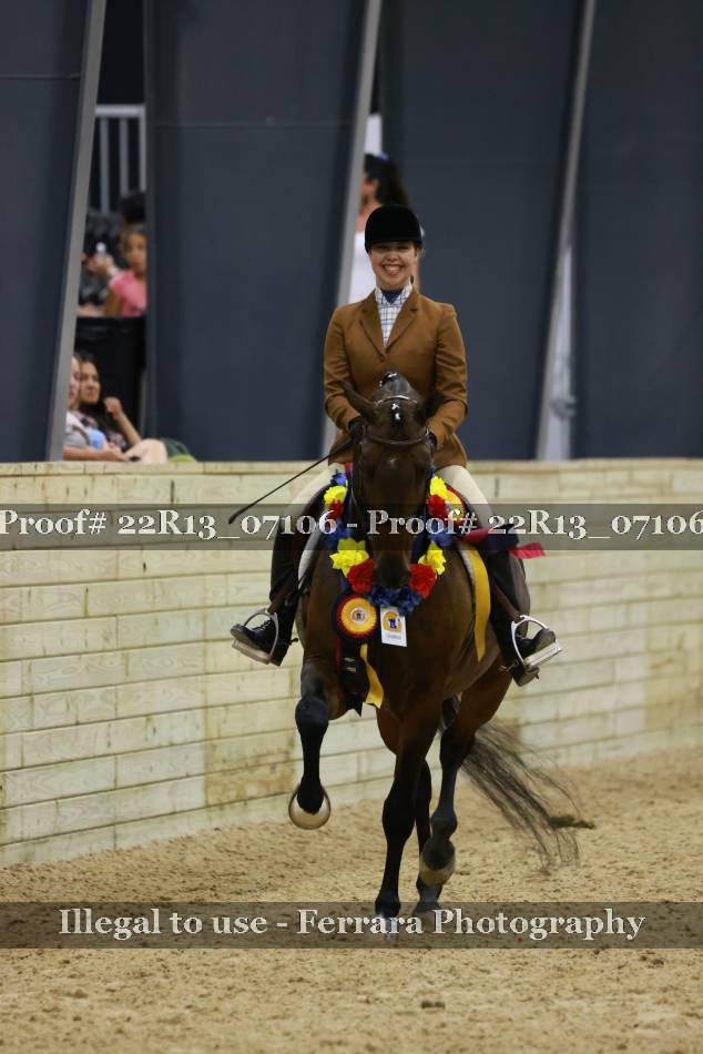 Proof 22R13_07106
