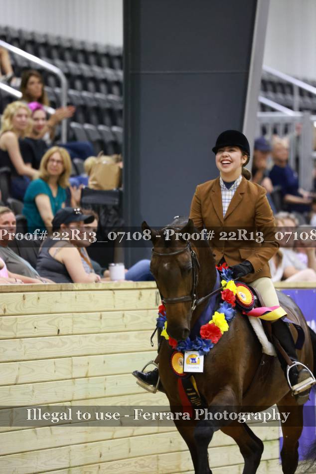 Proof 22R13_07108