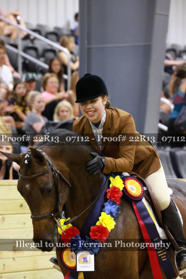 Proof 22R13_07112