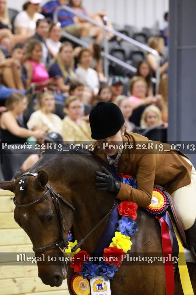 Proof 22R13_07113