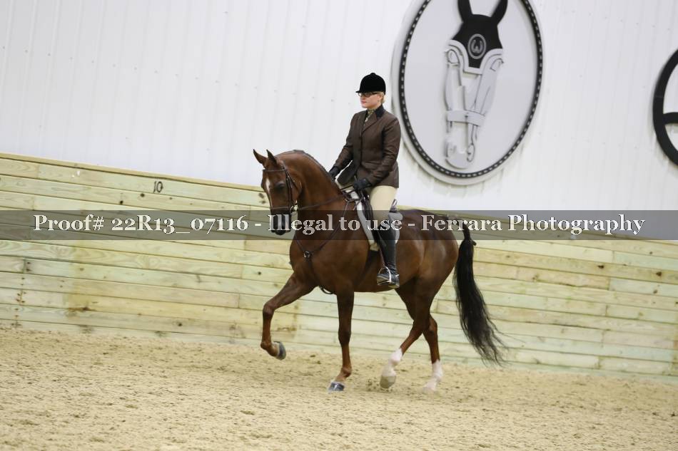 Proof 22R13_07116