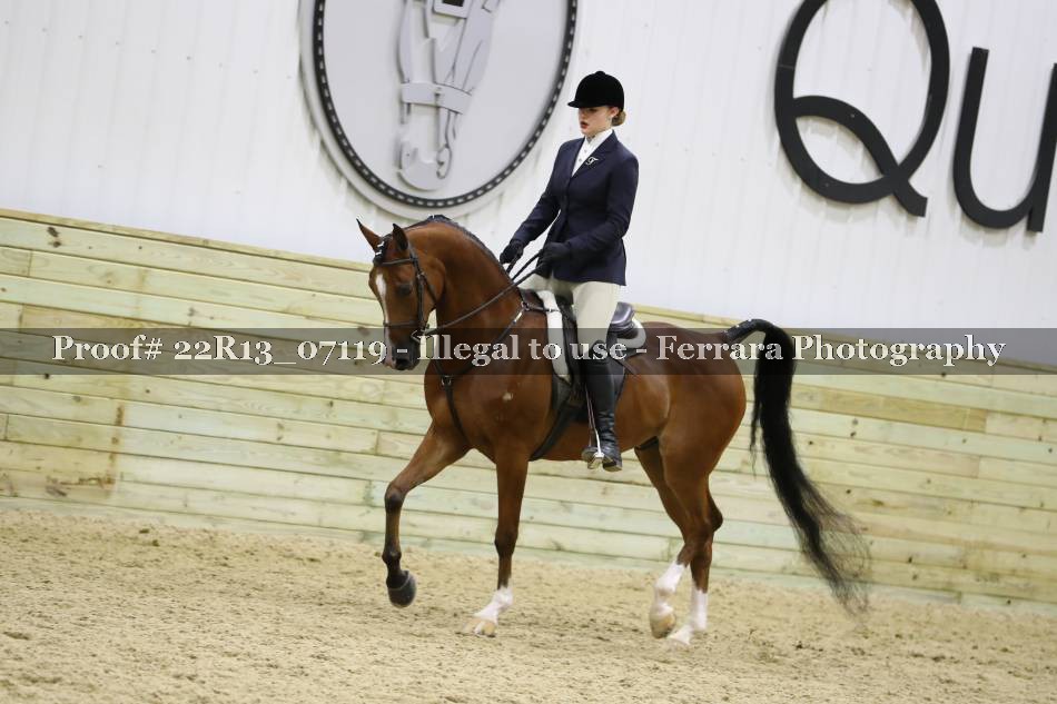 Proof 22R13_07119