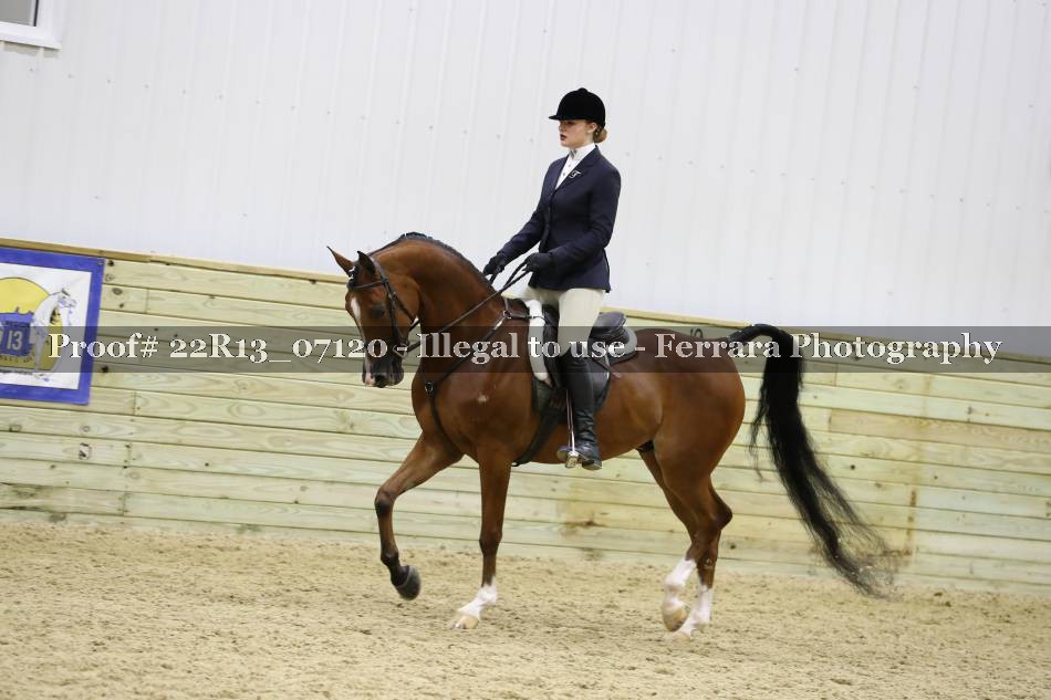 Proof 22R13_07120
