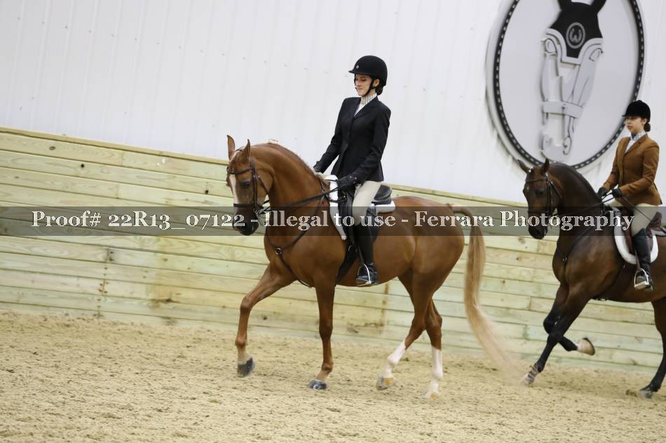 Proof 22R13_07122