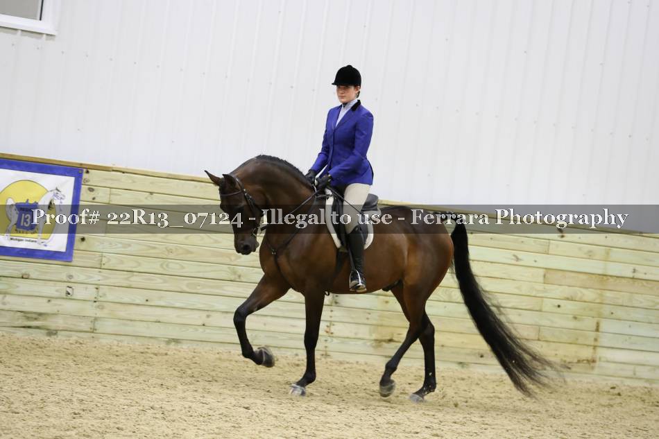 Proof 22R13_07124