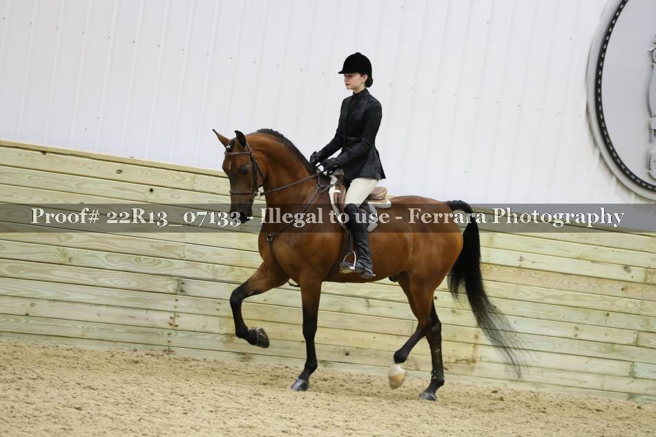 Proof 22R13_07133