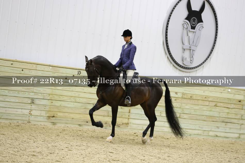 Proof 22R13_07135