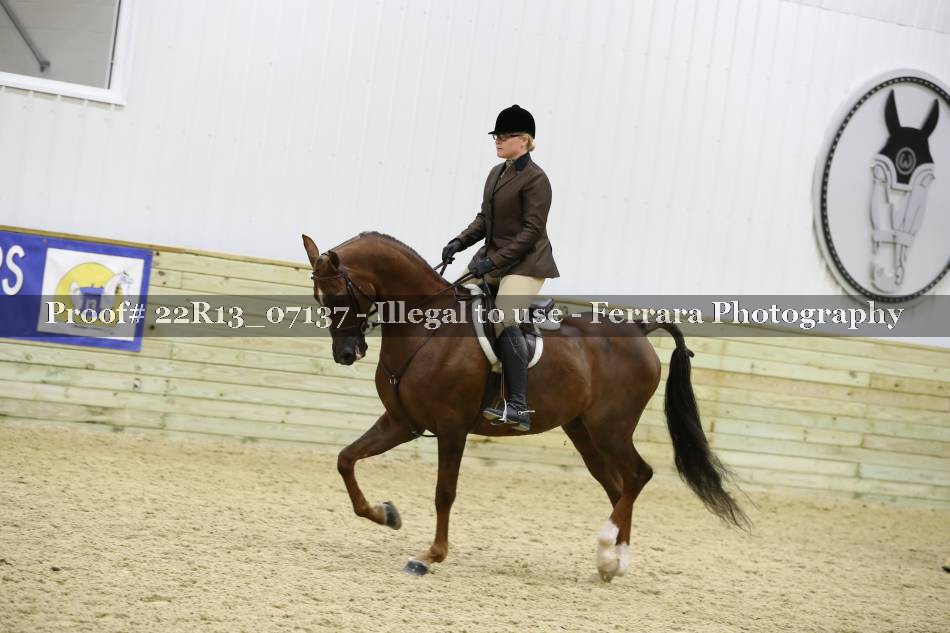 Proof 22R13_07137