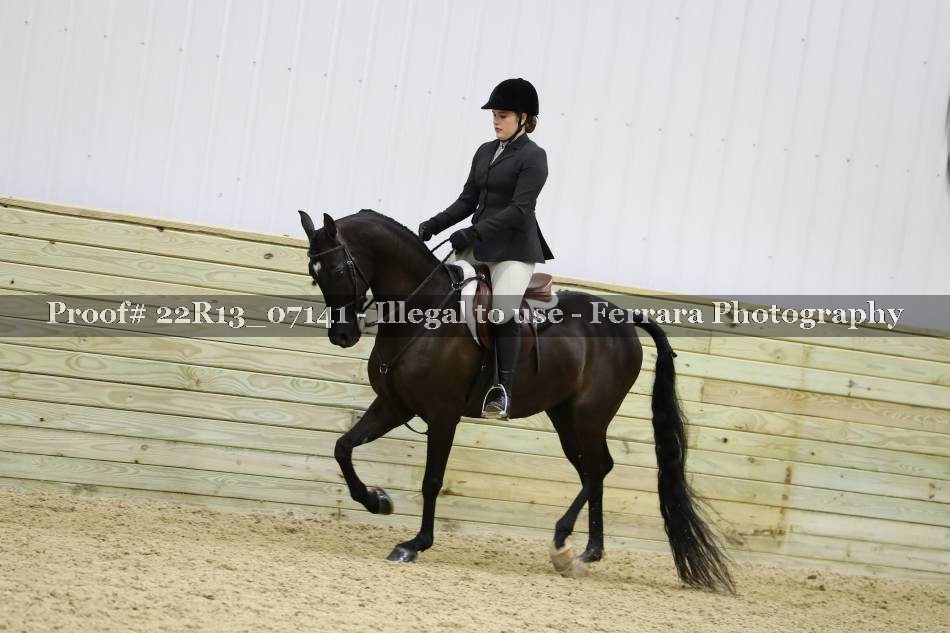 Proof 22R13_07141