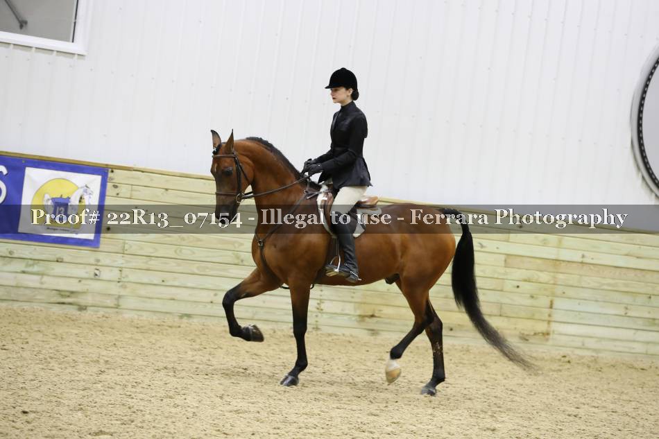 Proof 22R13_07154