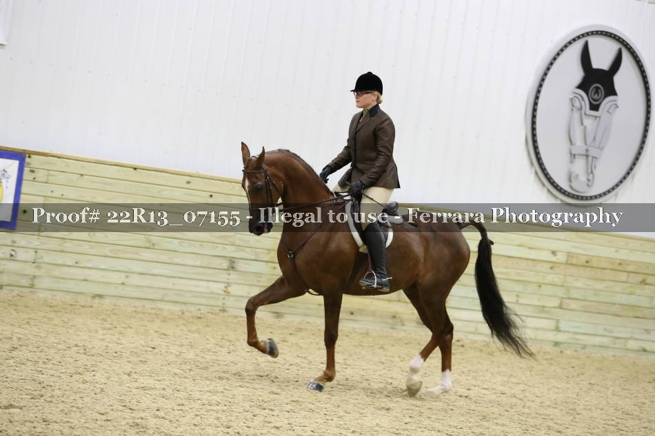 Proof 22R13_07155