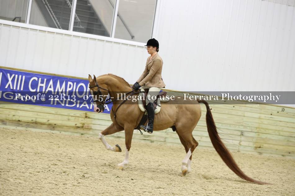 Proof 22R13_07157